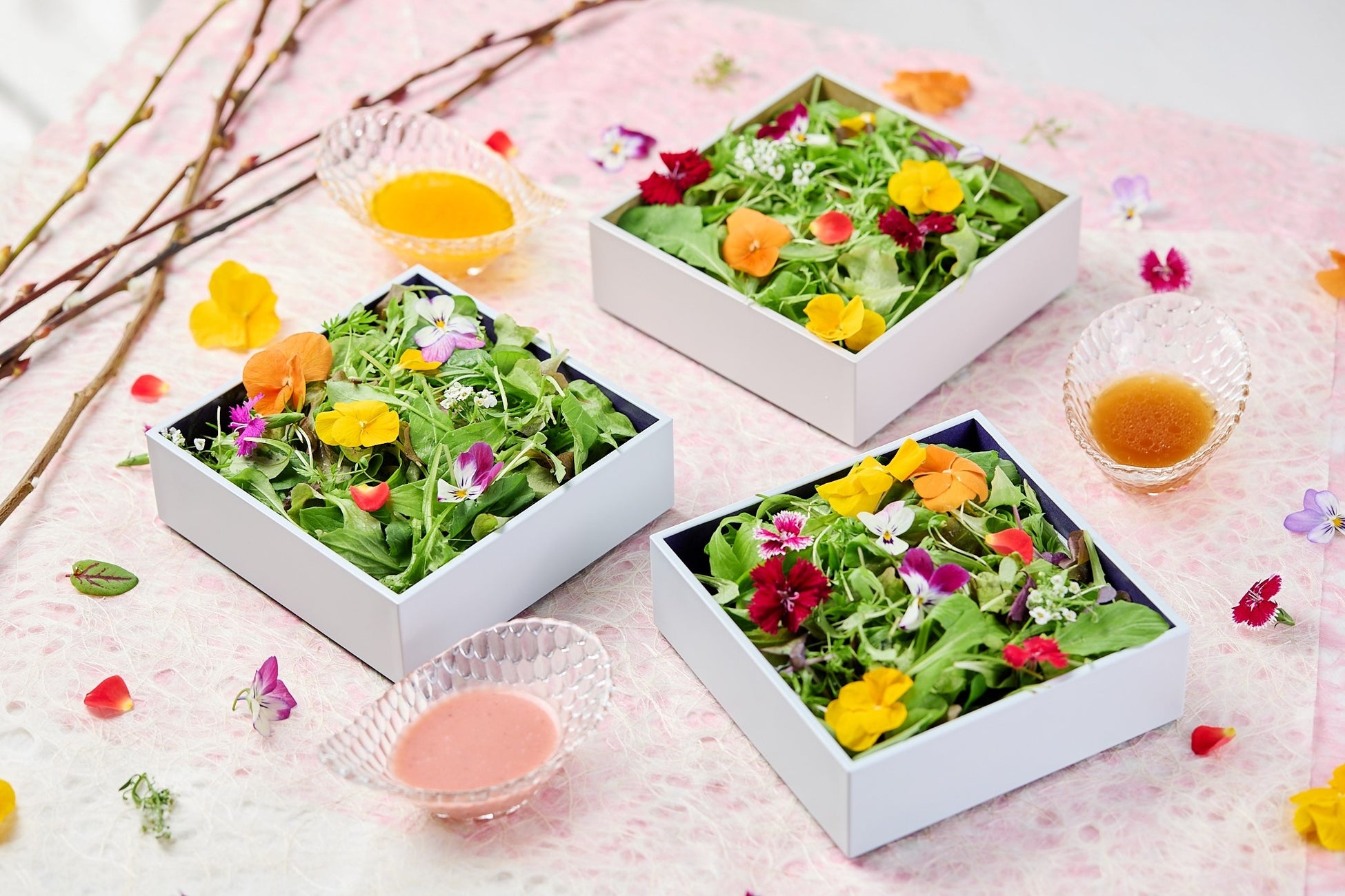 箱を開けるとはじまる花咲く前菜「はな手箱」が登場はなをりの夕食ビュッフェが1月24日にリニューアル【箱根・芦ノ湖 はなをり】