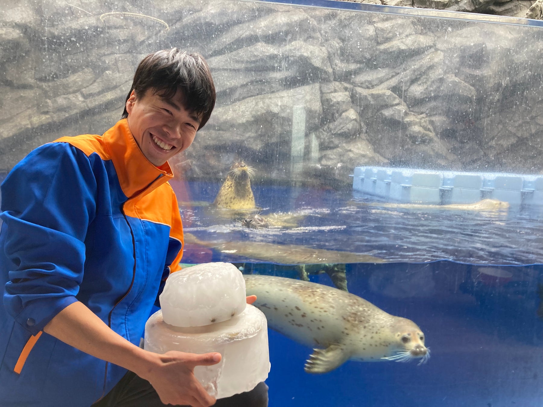 【上越市立水族博物館 うみがたり】「鏡開き給餌」開催【１月１１日（土）～１月１３日（月・祝）】