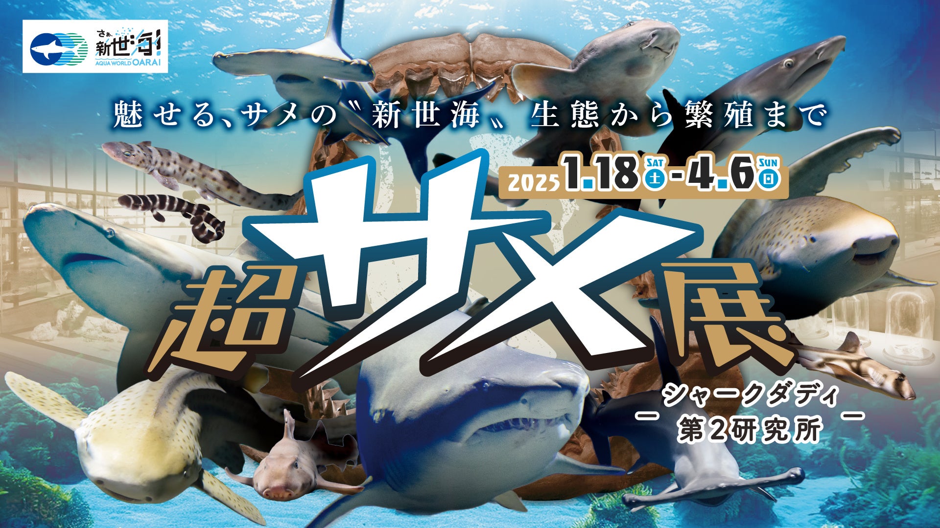 【アクアワールド茨城県大洗水族館】「サメの飼育種類数日本一の水族館」がお届けするサメの特別企画『超サメ展～シャークダディ第２研究所～』