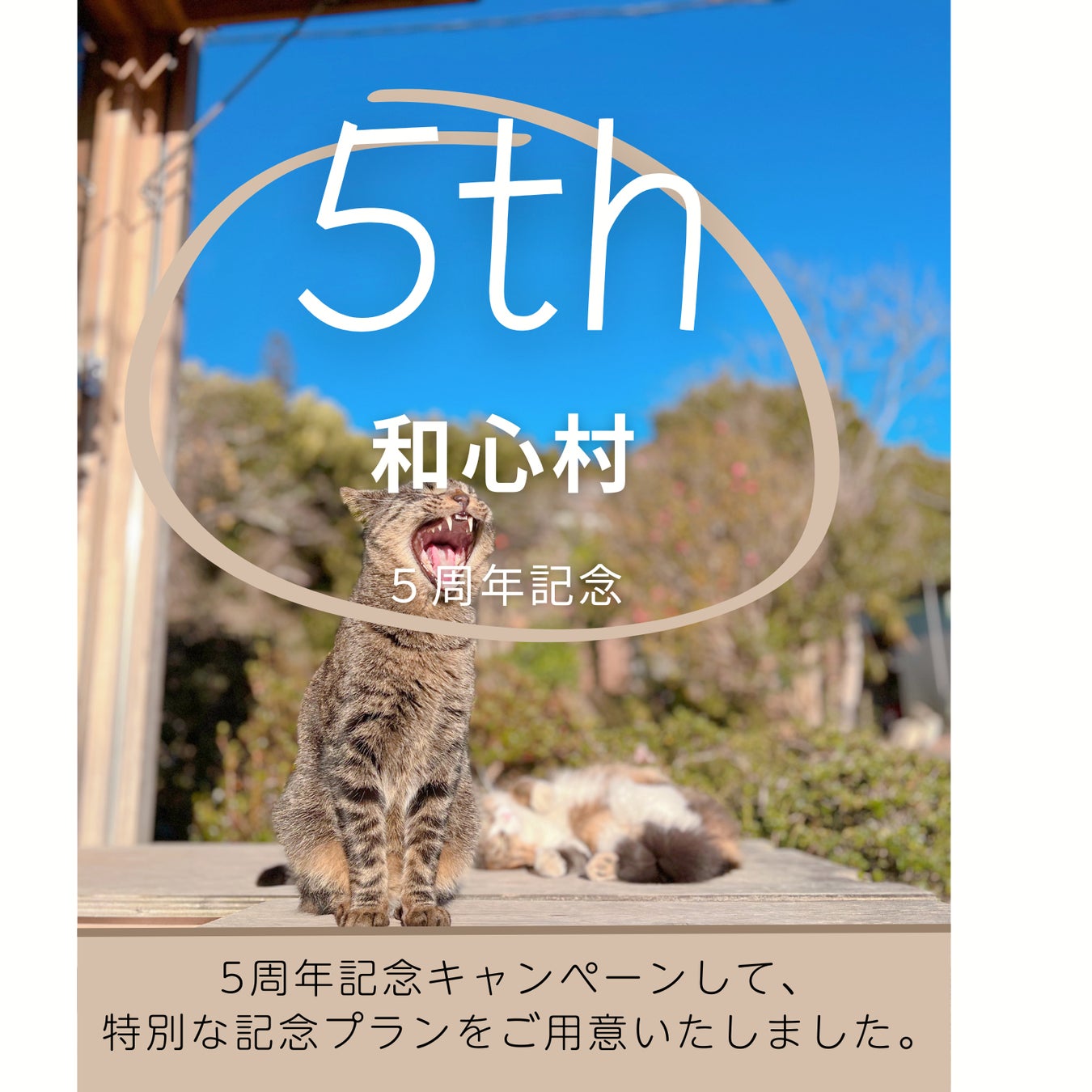 ニットの聖地・五泉市で、ニットめぐり。純国産のスニーカーも誕生！ プレスリリース「GO!GO!ごせんNEWS」2月・3月号を発行しました