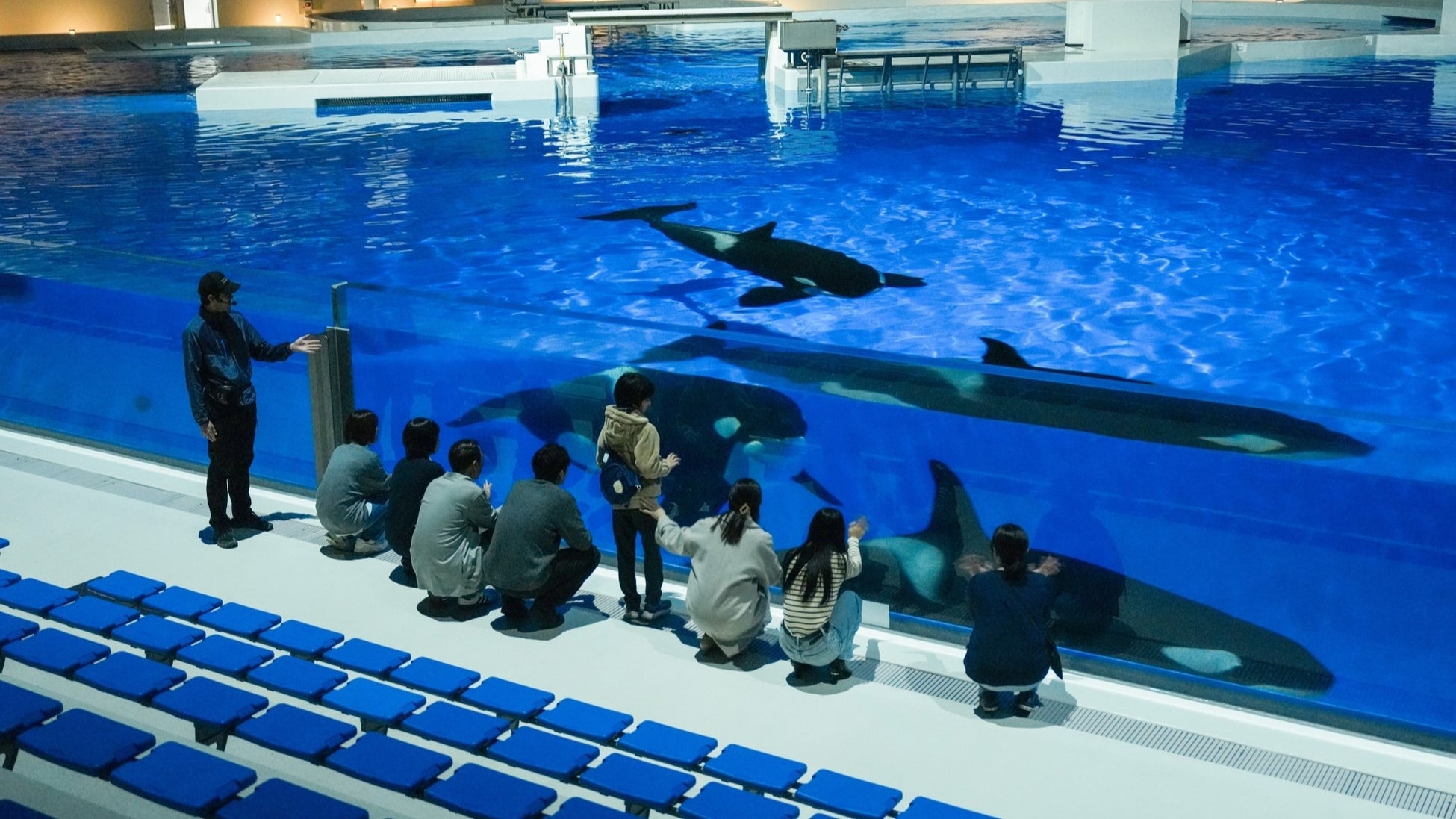 【神戸須磨シーワールドホテル】夜の水族館を探検しながら生きものを観察　宿泊者限定ツアー「シーワールドナイトウォーク」を実施