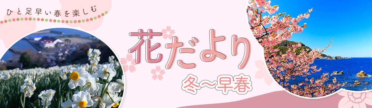 【佐渡汽船】早春さどまるキャンペ～ン♪マイカーで佐渡へ！さ～ど～ぞ