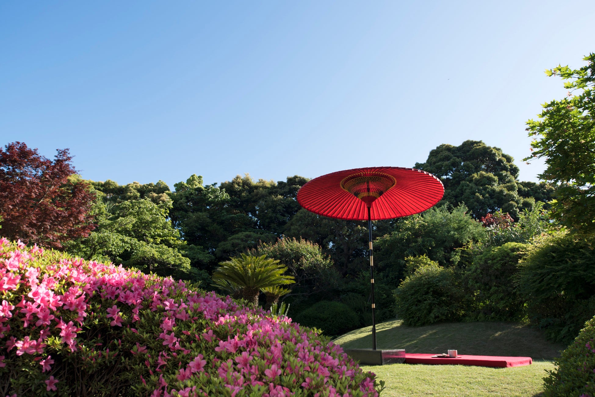 【界 伊東】伊豆の春の花が咲く日本庭園で、ゆったりと季節の移ろいを堪能する「湯上がり花見」開催