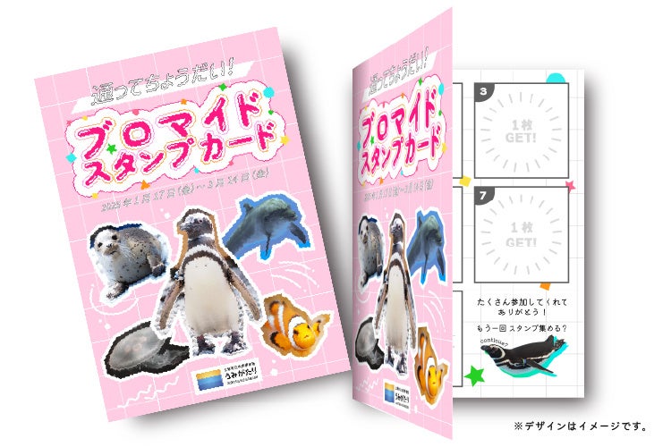 【上越市立水族博物館 うみがたり】通ってもらえる！参加してもらえる！『通ってちょうだい！ブロマイド２０２５』【令和７年１月１７日（金）〜３月１４日（金）】