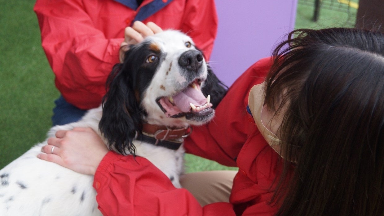 1/25（土）上毛高原駅近の温泉「さなざわ㞢テラス」で点心のお祭り「温泉点心」が初開催！！