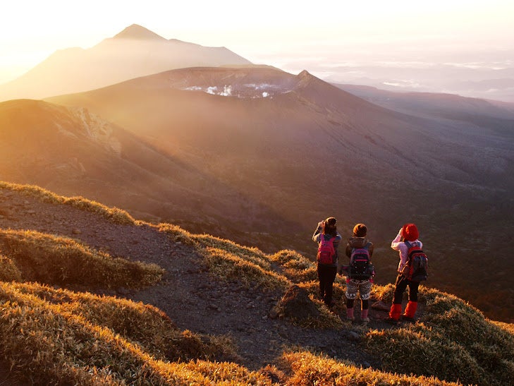 見られるのは日本でたった2施設だけ!足立区生物園で砂漠の妖精グンディの展示を開始します