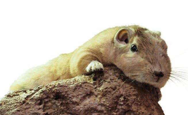 調節池の通り抜けが体験できる期間限定ツアーも!東京都公園協会は「環七地下調節池のインフラツアー」を2025年2月まで開催中!