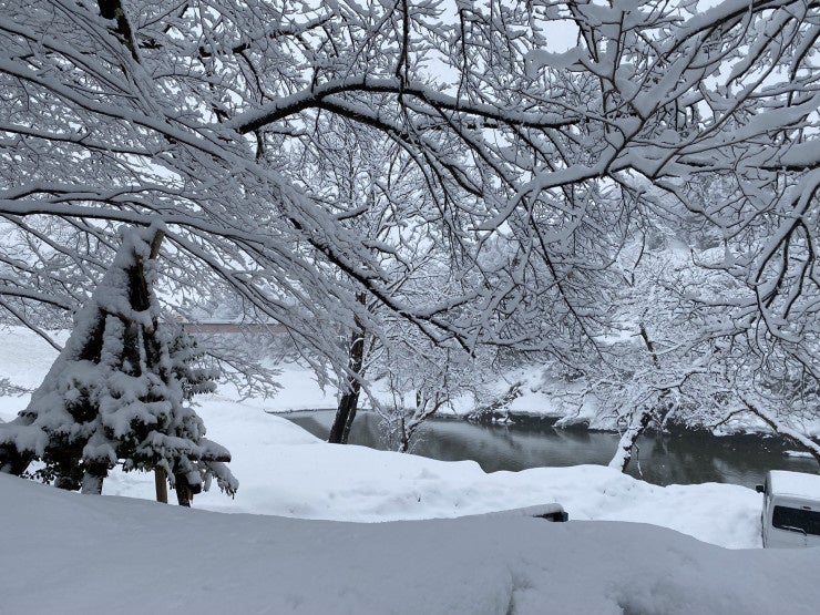 第45回丹波篠山ABCマラソン公式 サウルスジャパンコラボゼッケン留めの販売を開始