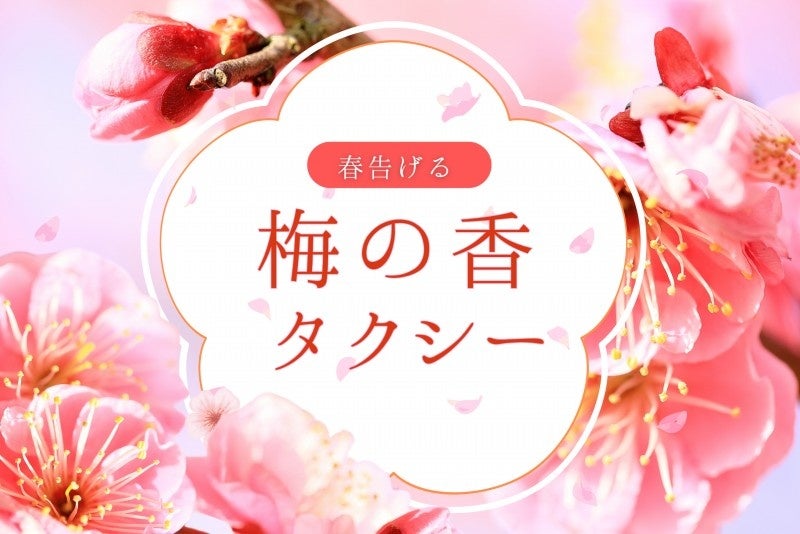 野球&BBQで全国に仲間が増える!スポーツとアウトドアを日本一楽しむ「ロゴスランドカップ 2025 〜学童野球交流大会〜」開催決定!