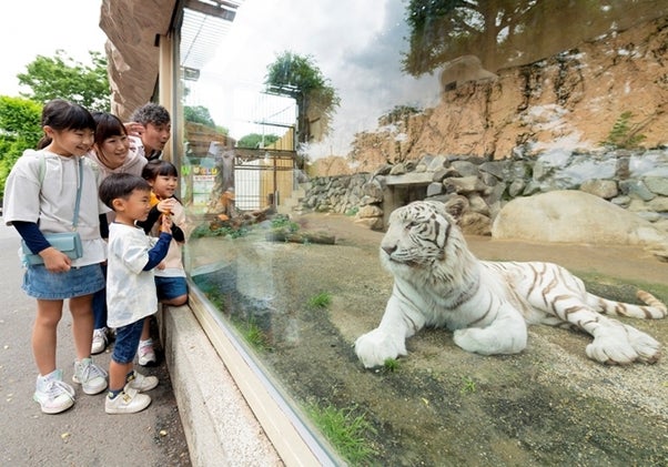 理想の寝袋が見つかる!「シュラフマーケット」の豊富なラインナップ
