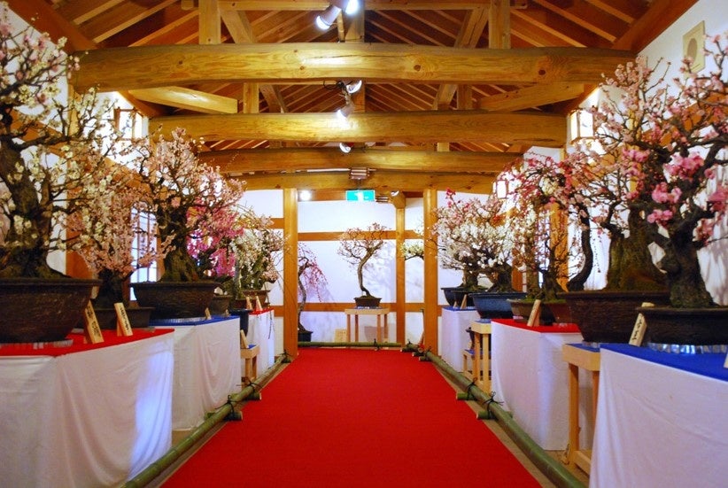 北海道の温泉旅館で初取得! SDGsの国際認証「サクラクオリティAn ESG Practice」認証を取得