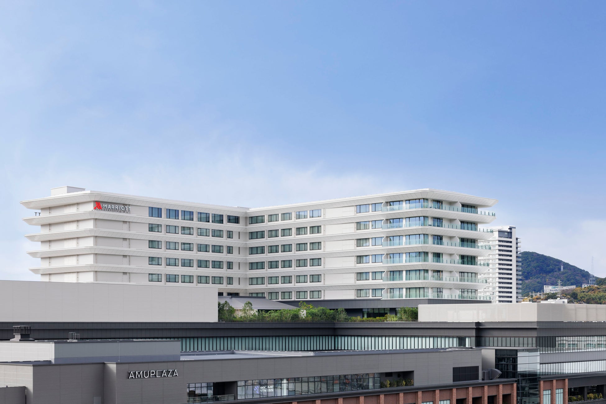 高校生PRライターが見た『もちもちランド』の魅力全部載せ！「杵つきもちvs機械付きもち」検証も！