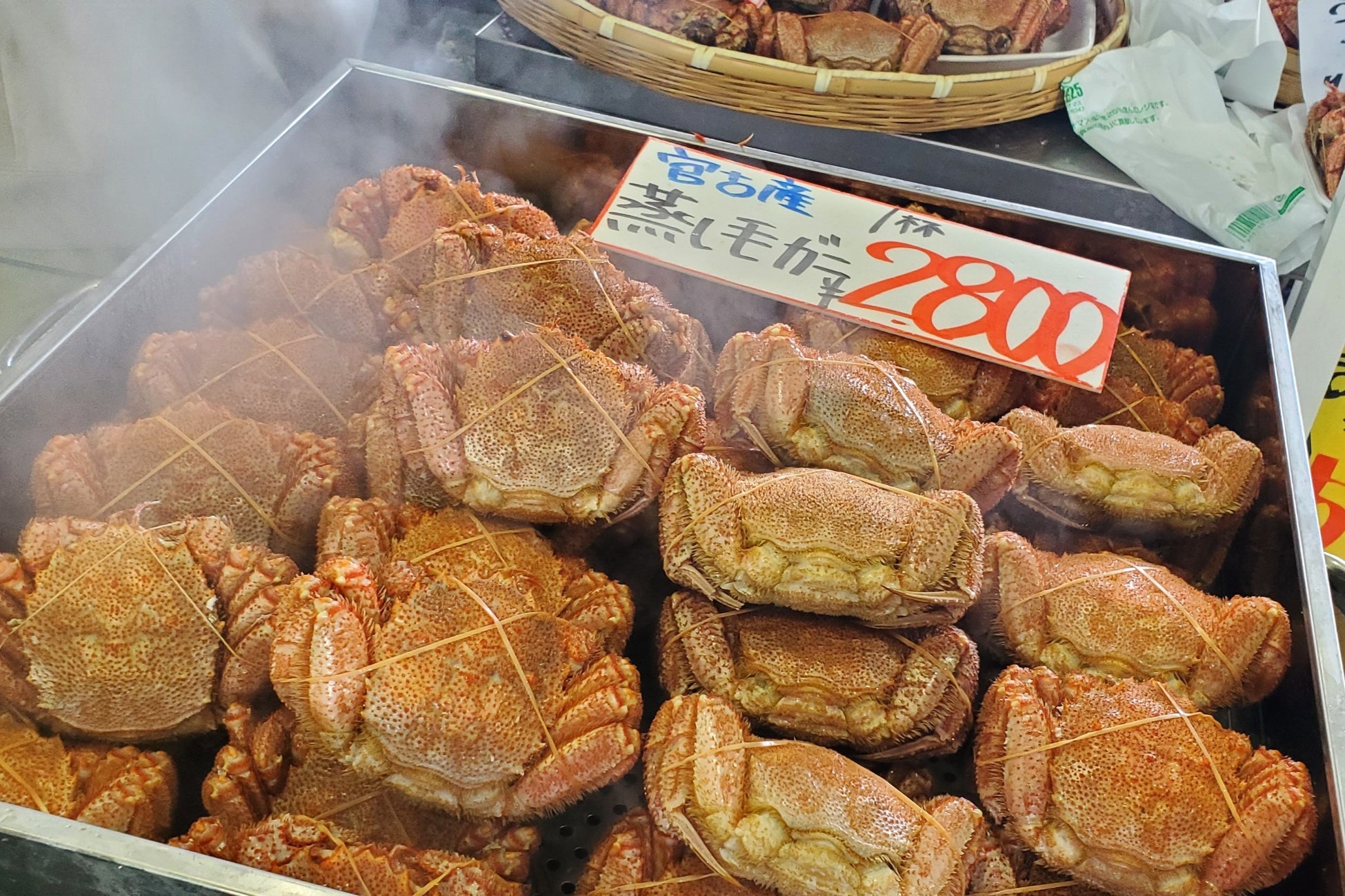 学生旅行を応援！春休みは高速バスでお得に旅をしよう！路線・席数限定の“春休み割プラン”を販売開始
