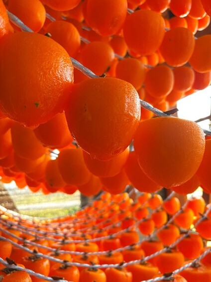 【車の購入どう選ぶ?】車所有者の30.8%が「実用性」で選んだ