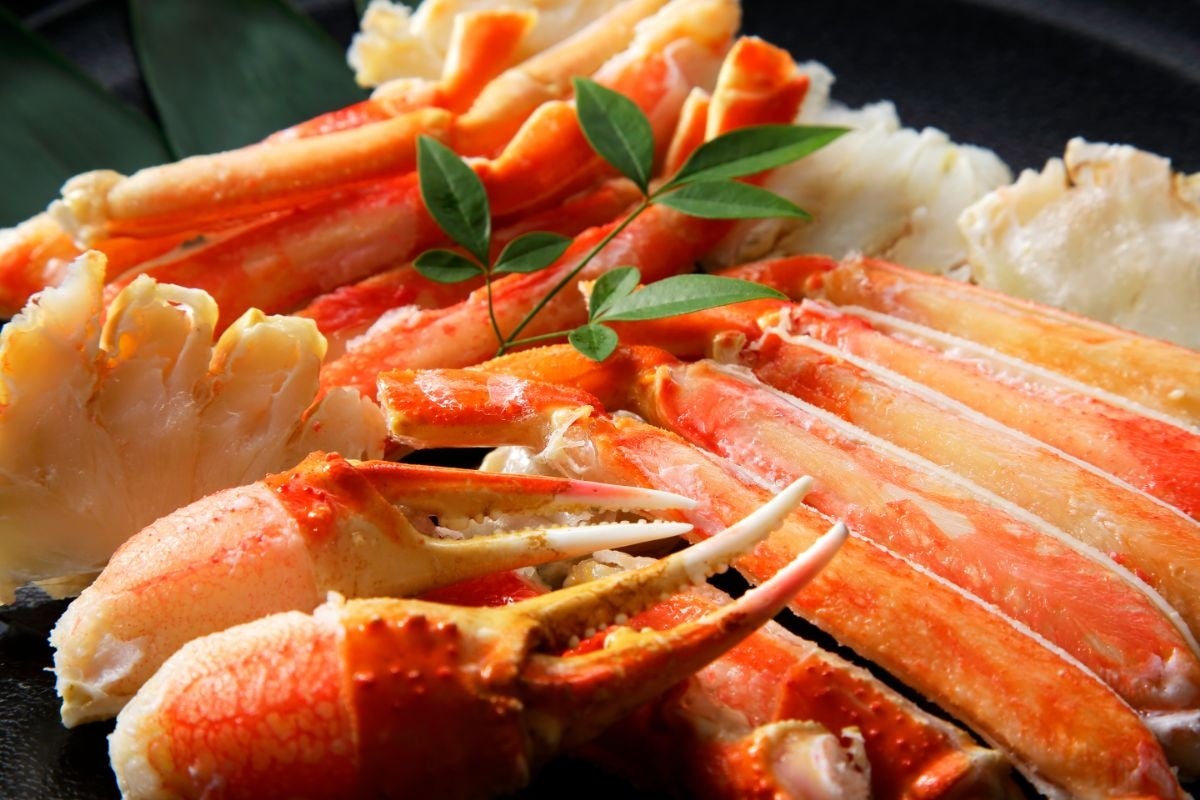 だるまに願いを込めて 熊谷初市開催!「お餅つき大会」や「だるまさんが転んだ」で子どもたちの笑顔が炸裂!