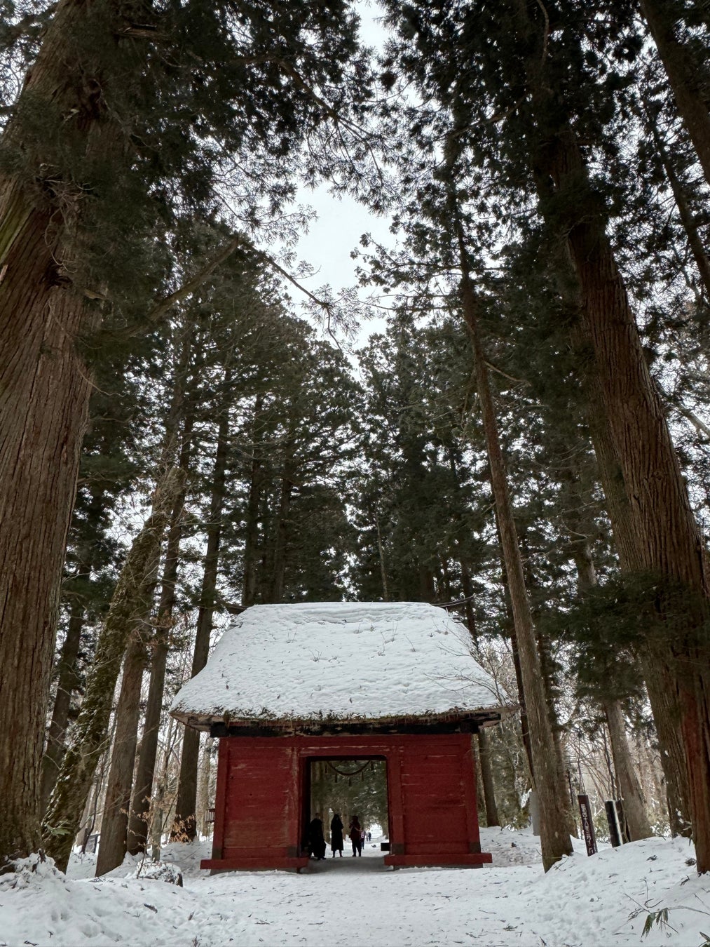MITSUI OCEAN CRUISES にっぽん丸 2025年7月～2026年1月の新クルーズとMITSUI OCEAN FUJI 2025年7月～2026年6月の新クルーズを発表