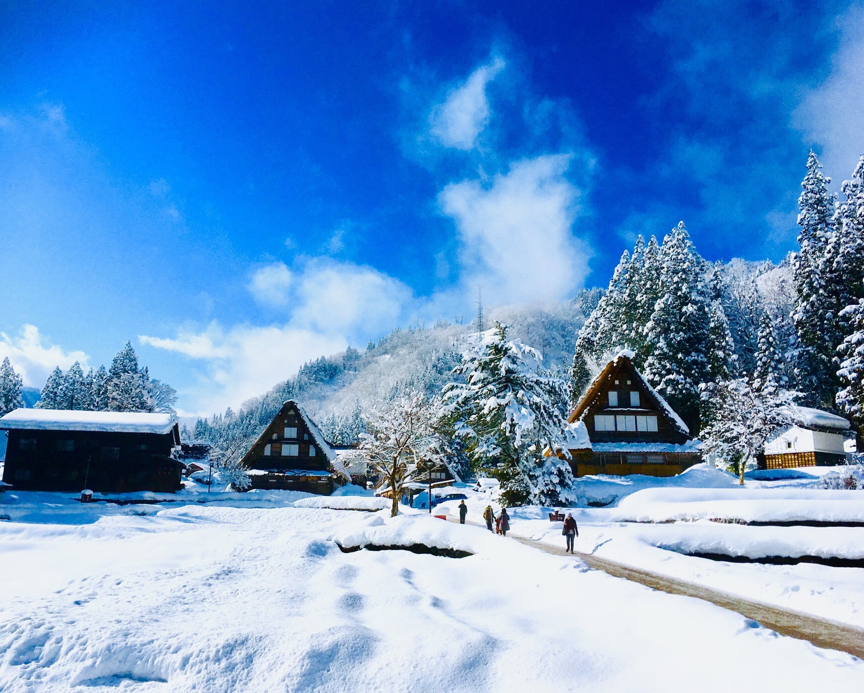 \早春特別メニュー・新発売/
駿河湾沼津SA上下線 海鮮丼テイクアウトコーナー
「おさかな丼屋 とと丸」にて
1月22日(水)より「ぶりの早春メニュー」新発売