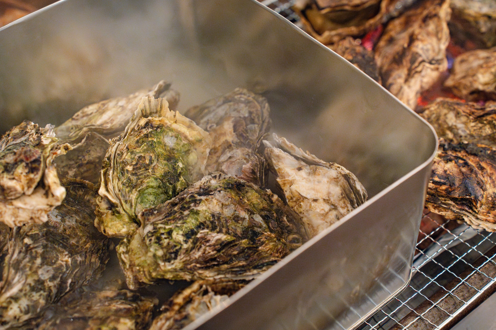 ボードカルチャー&アウトドア展示会「インタースタイル2025」を今年もパシフィコ横浜にて開催！