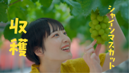 【岐阜県土岐市】イオンモール土岐に限定出店の「旅する海鮮カキ小屋カキダオレ」がDM、お問い合わせメールにお応えして年間2,698セット提供のガンガン焼き（蒸し牡蠣）を1月25日（土）から提供開始！