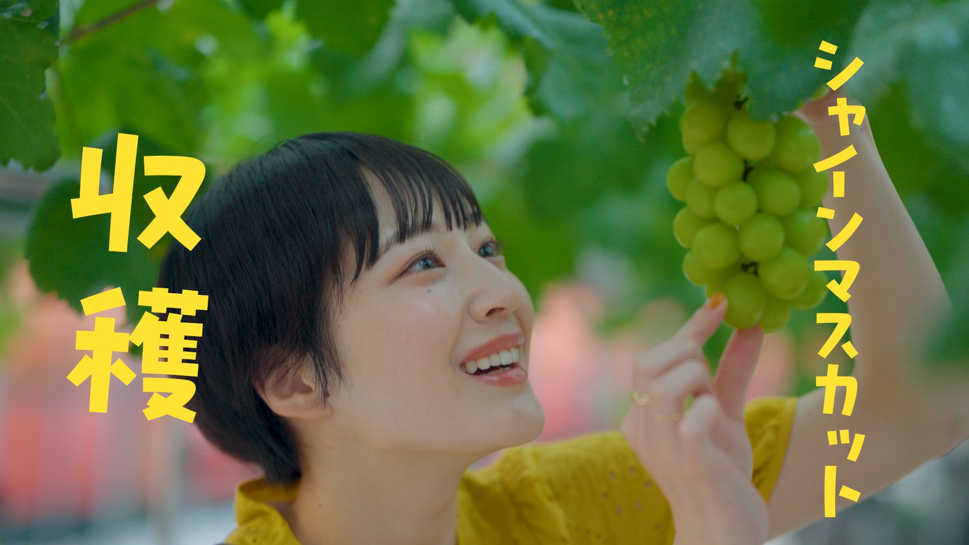 大阪・関西万博に参加の約70か国・地域代表料理が 2月7日(金)より全国のくら寿司でお楽しみいただけます