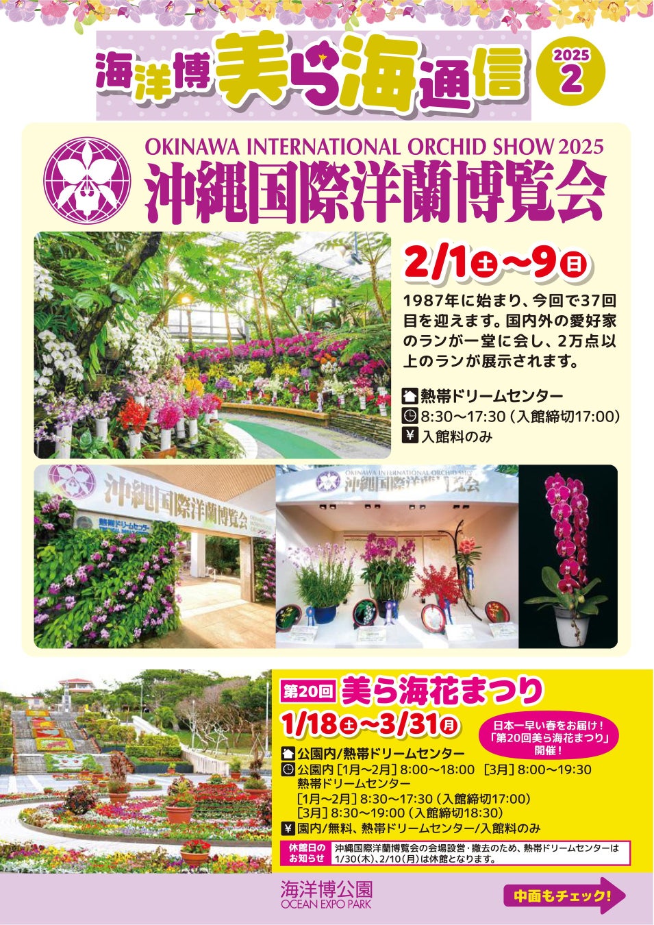 【独自調査】2025年最新：外国人に人気の観光スポットランキング［水辺 編］1位は「白金青い池」！| インバウンド人気観光地ランキング　#インバウンド #MEO