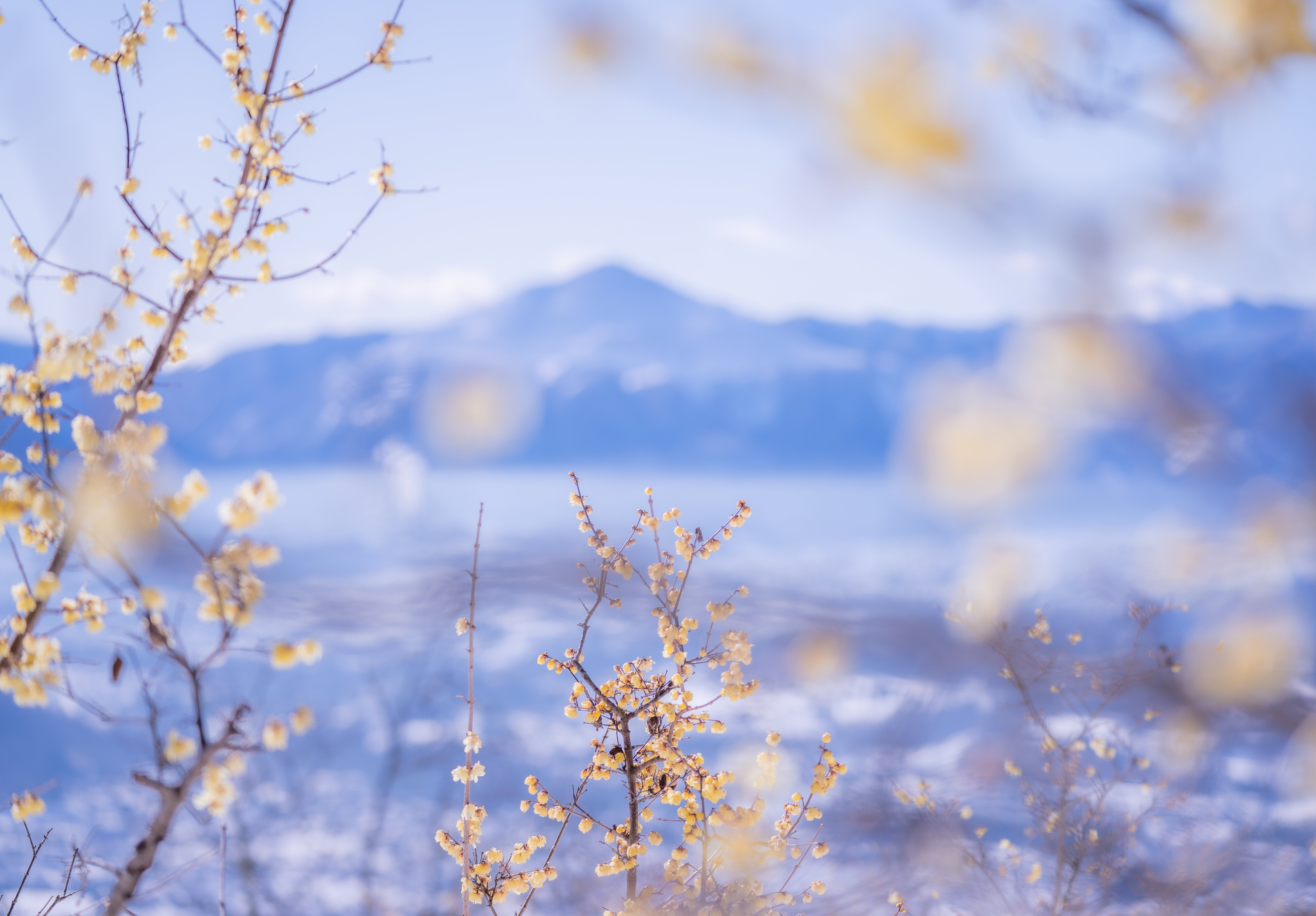 湯西川温泉かまくら祭を日帰り観光で!
