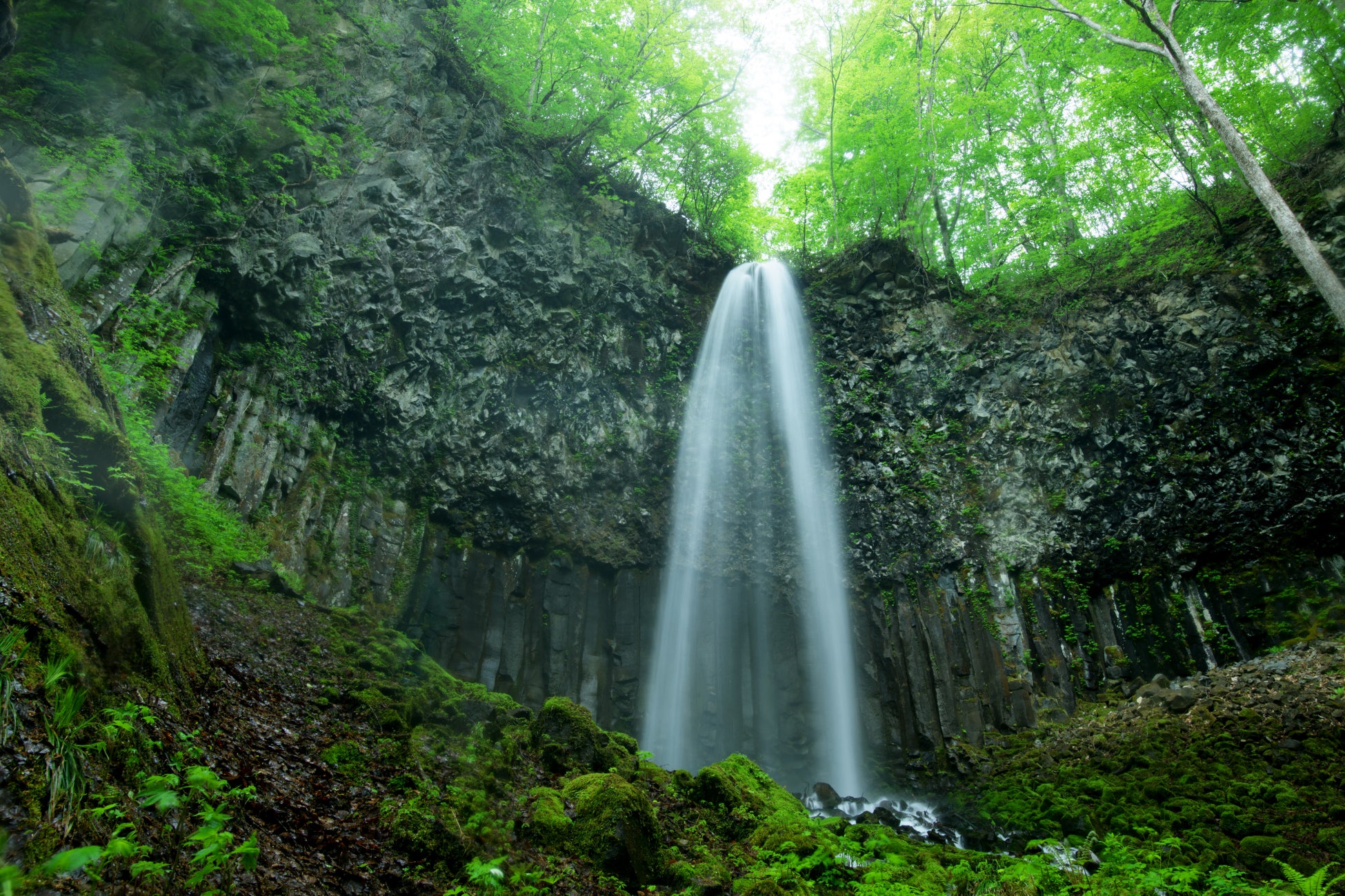 誰もが楽しめる万博の実現を目指す「LET’S EXPO」、「大阪・関西万博 運営参加(バーチャル万博体験支援業務)サプライヤー」に就任