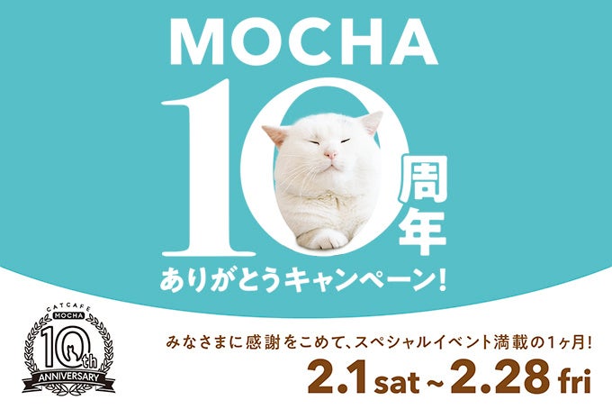 猫カフェMOCHA全店舗で10周年イベント開催決定！大切な節目にお客様に感謝を込めて、特別な時間を。猫の日には限定の豪華グッズが当たるキャンペーンも実施！「MOCHA 10周年ありがとうキャンペーン」