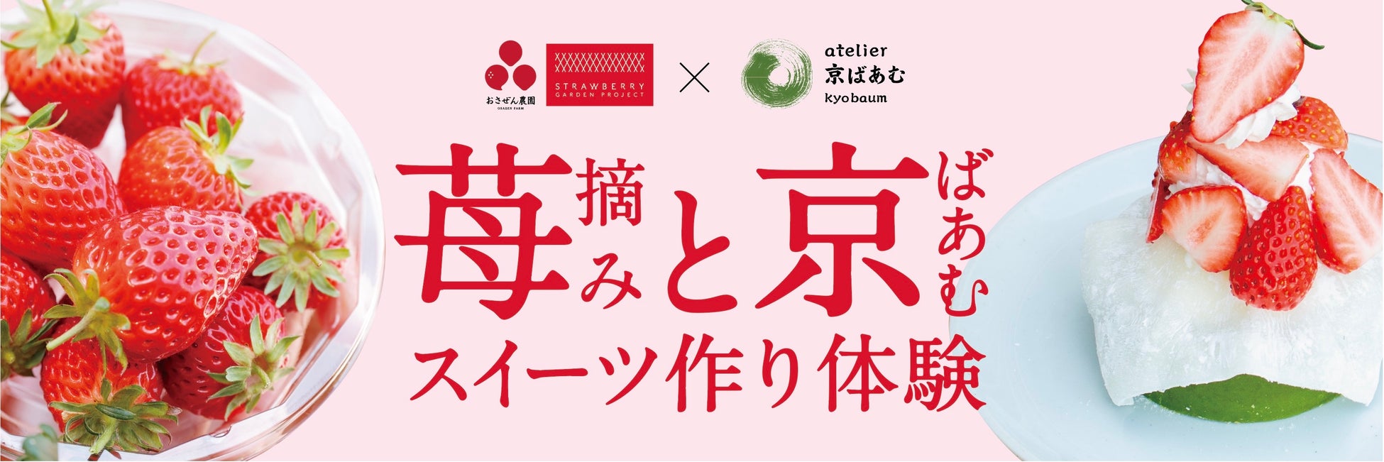 人気のお菓子作り体験が今年もatelier京ばあむに登場‼苺摘みと京ばあむスイーツ作り体験　「いちご」を使ったパフェ、ドリンク、ジェラートも発売