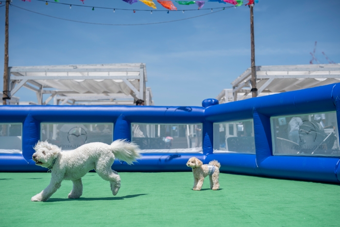 大阪・関西万博の『EARTH FOODS 25』をテーマにした春限定朝食『サステナブルモーニング』、ホテル・ロッジ舞洲で3月1日から提供