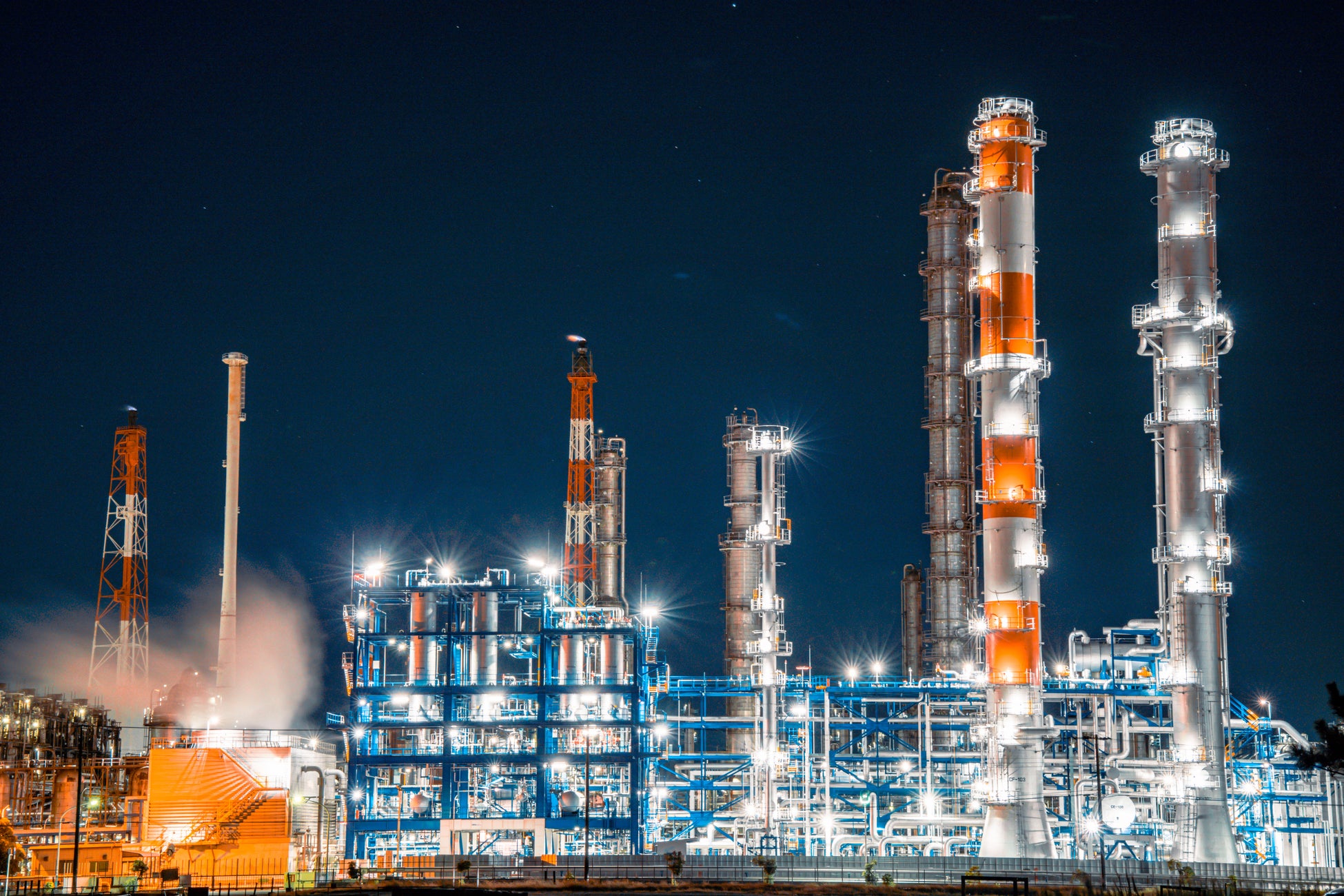 休日いぬ部が2024年に最も人気を集めた全国の宿を大公開!『ペットと泊まれる宿』年間予約件数ランキング2024を発表