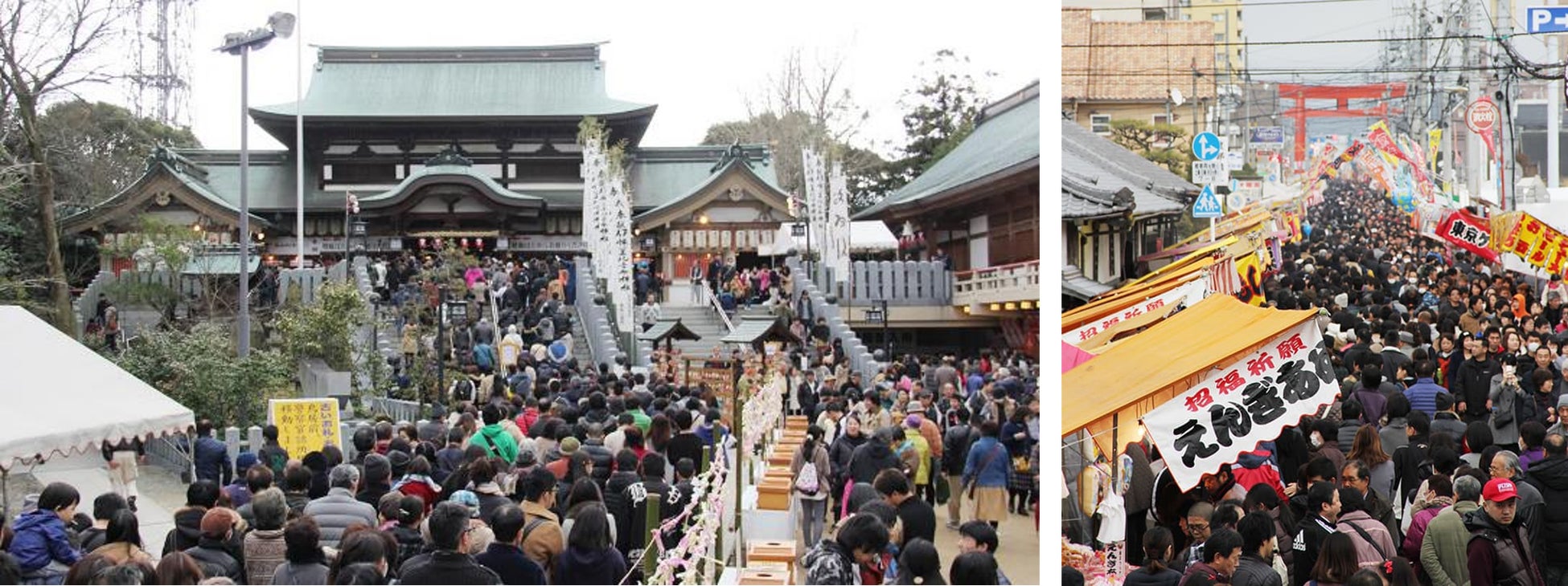 メズム東京、麗らかな春の風景や新緑の芽吹きがテーマ ランチプログラム「Flowering Meadow – 野花のささやき」ディナープログラム「Blooming Right – 春、躍動」