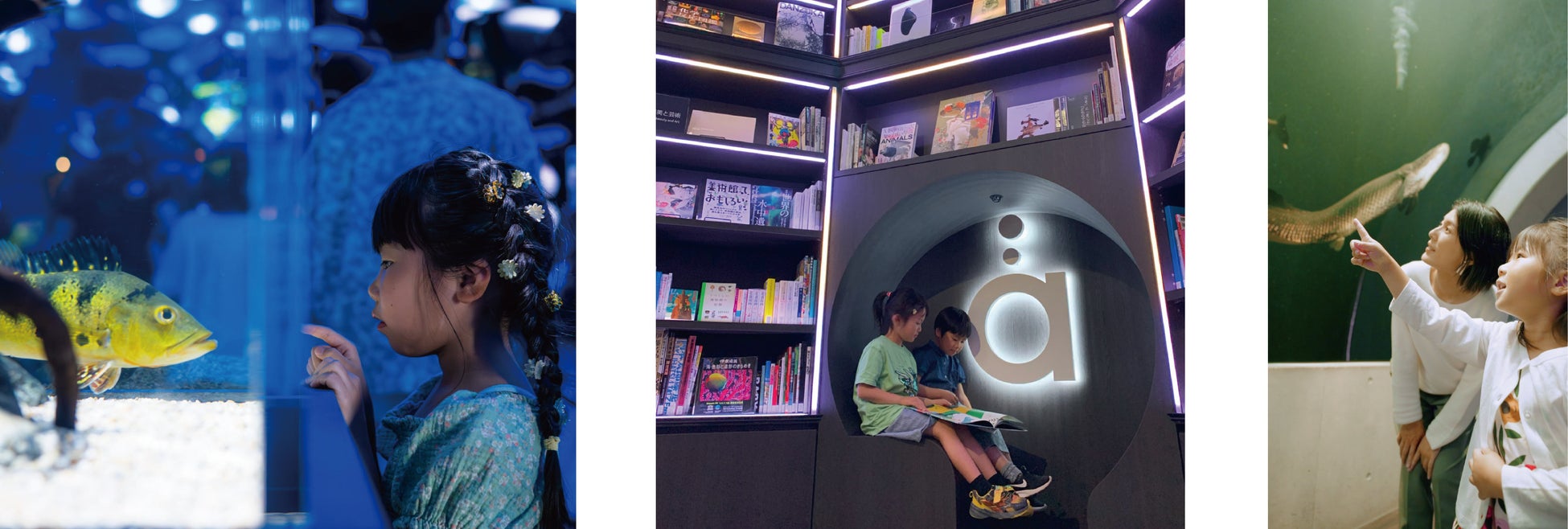 【ホテルオークラ東京ベイ】苺とチョコレートを味わうアフタヌーンティーを2月に提供