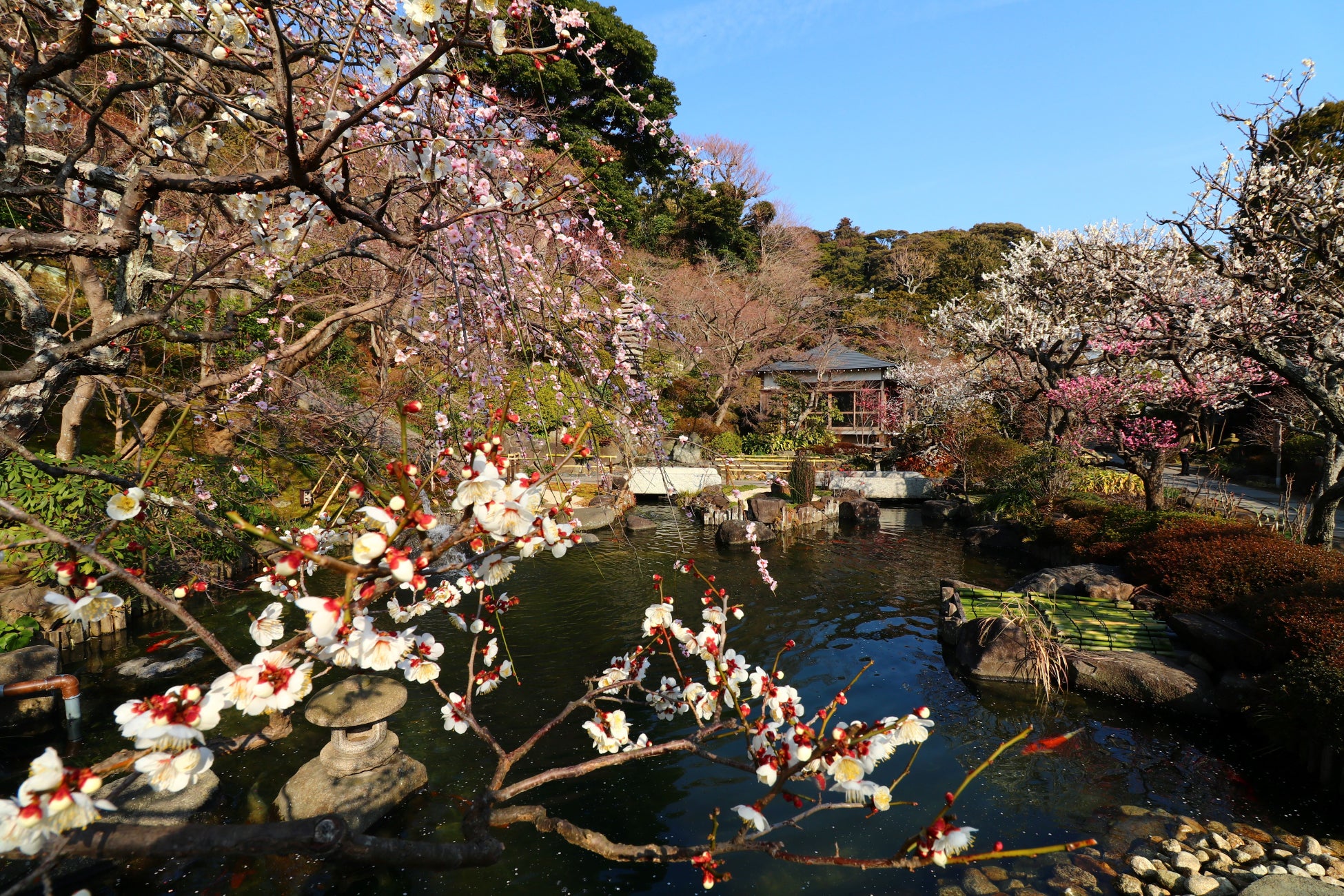 【リーガロイヤルホテル京都】~チェキ™を持って着物で京さんぽ~『春の卒業旅行宿泊プラン』 販売