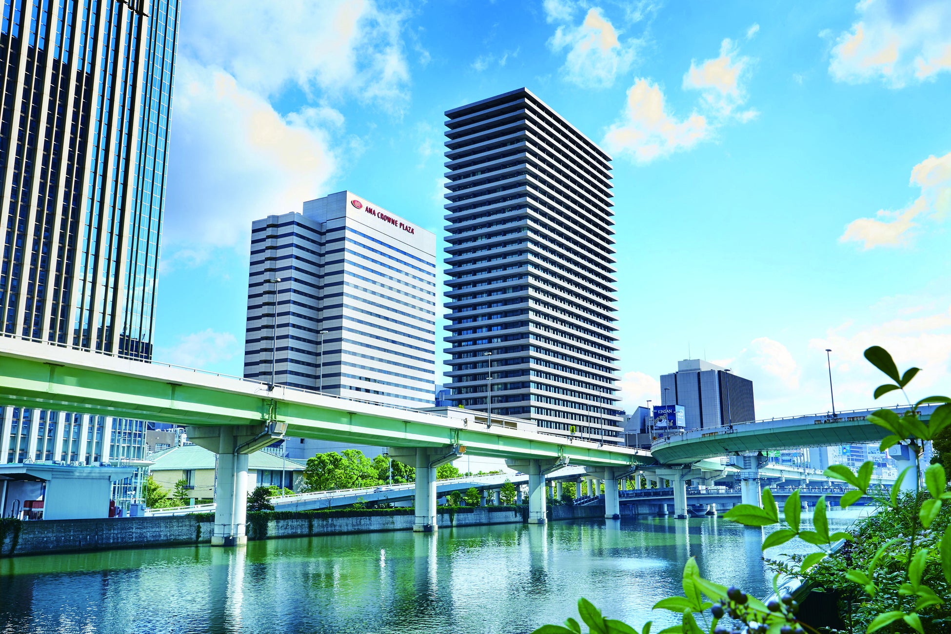SNSで人気急上昇の「ヒマラヤマーモット」がついに日本初上陸！