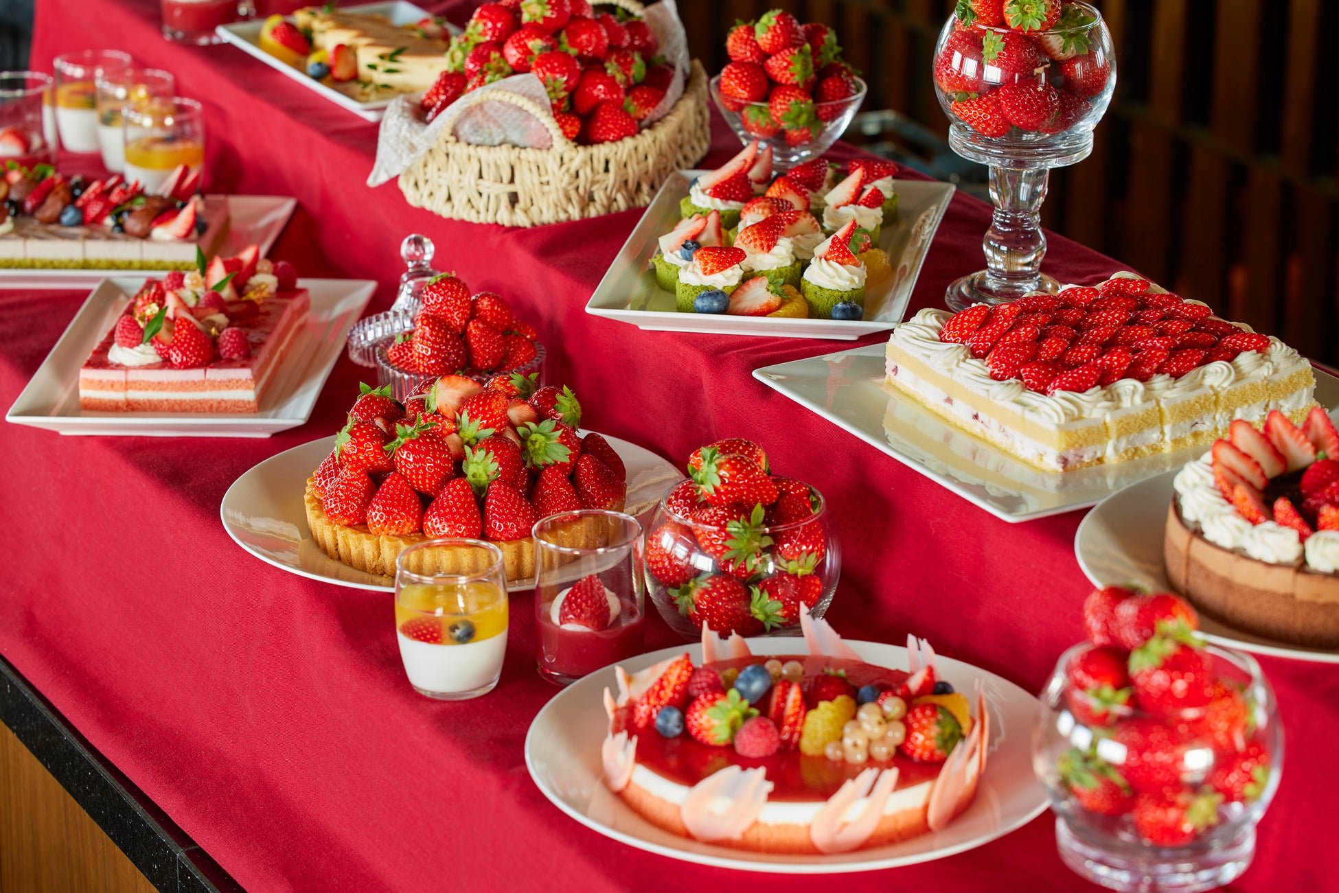 累計応募者数2700組超、149組のアスリートをサポート!「ZAMSTチャレンジャープログラム」第10期募集を開始