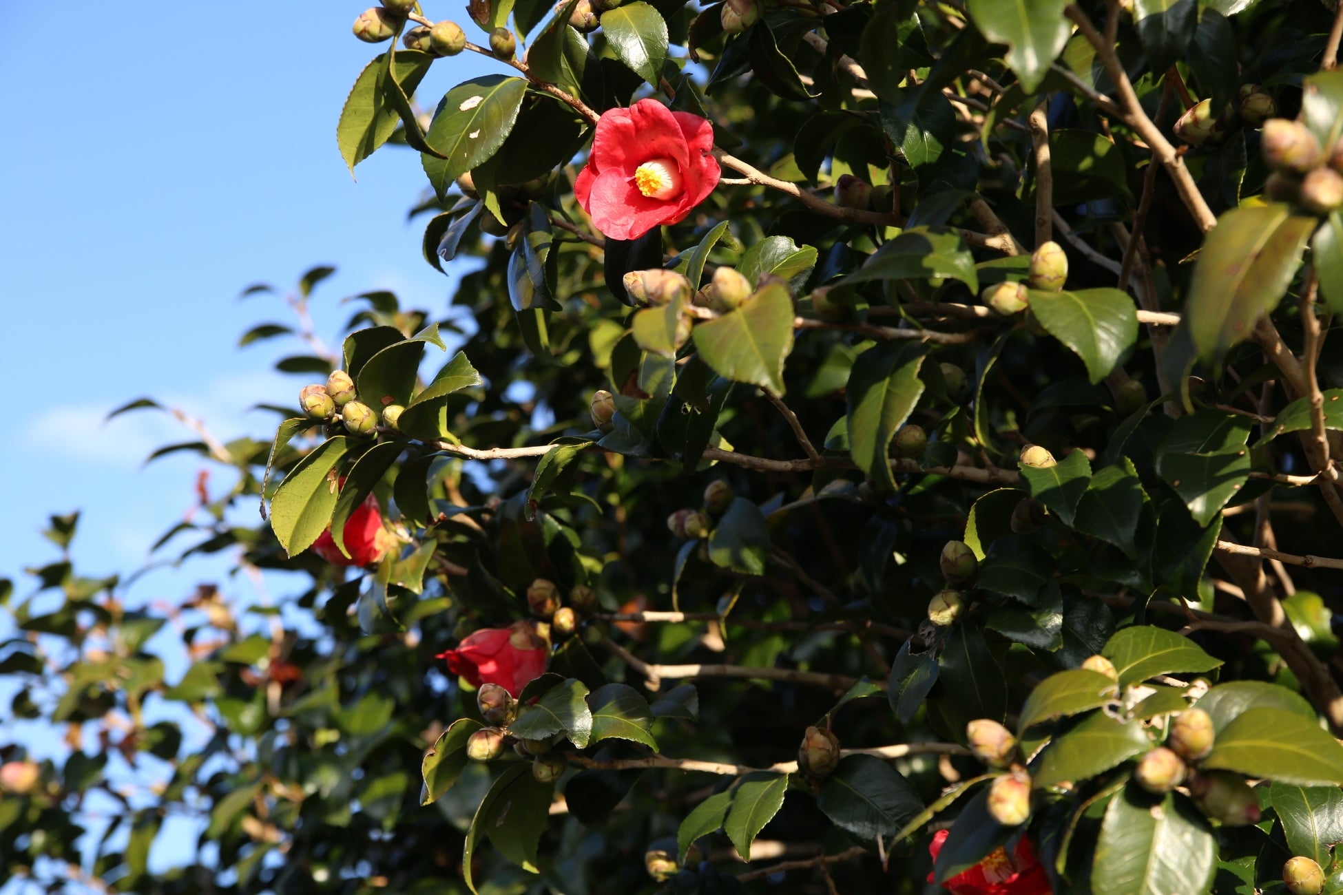 福岡・博多にオープンしたビル1棟のプライベートサウナ「SAUNA SAKURADO」がビジネスパーソンにも活用される6つの理由