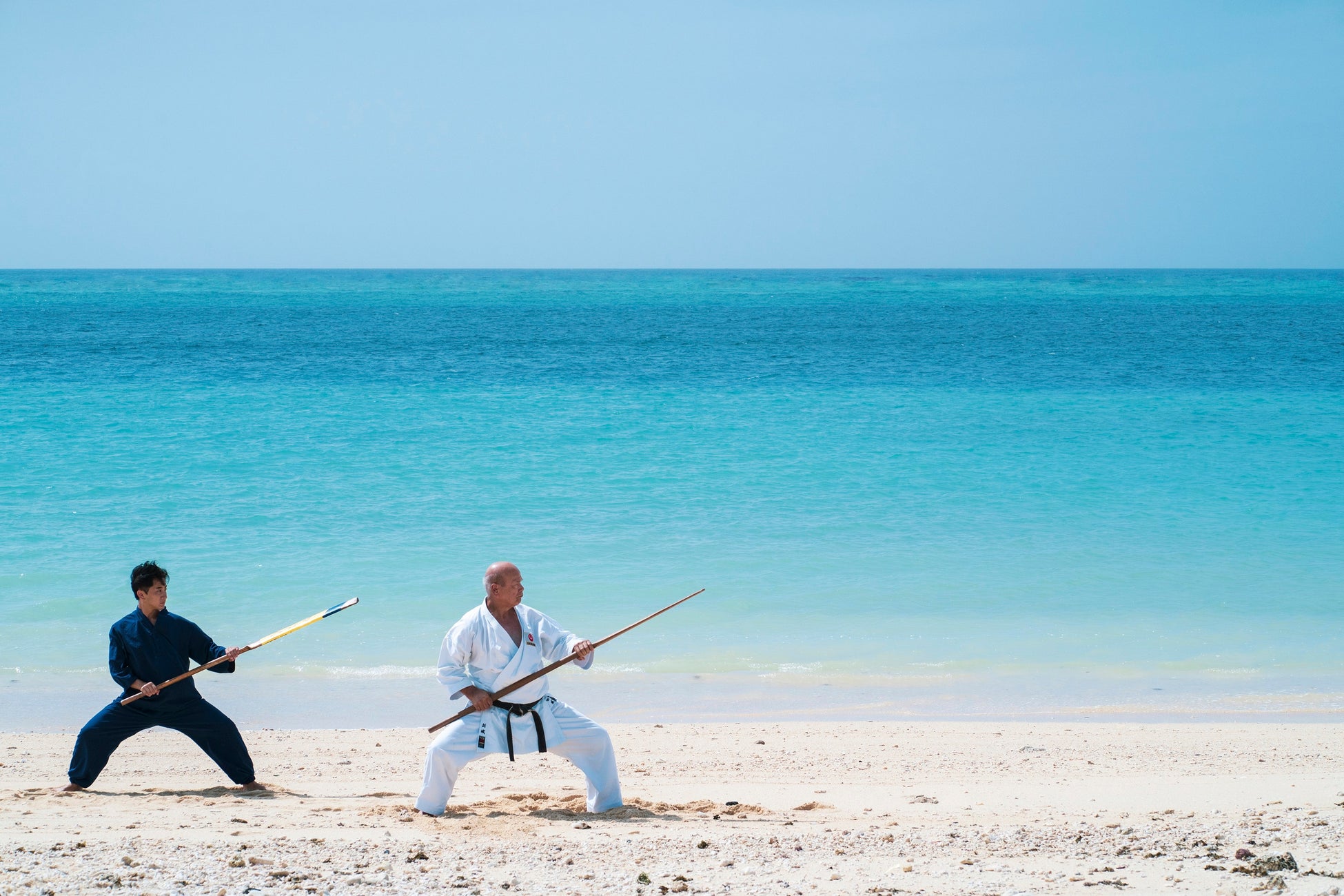 『じゃらん』会ってみたい!宿の看板ねこランキング2025