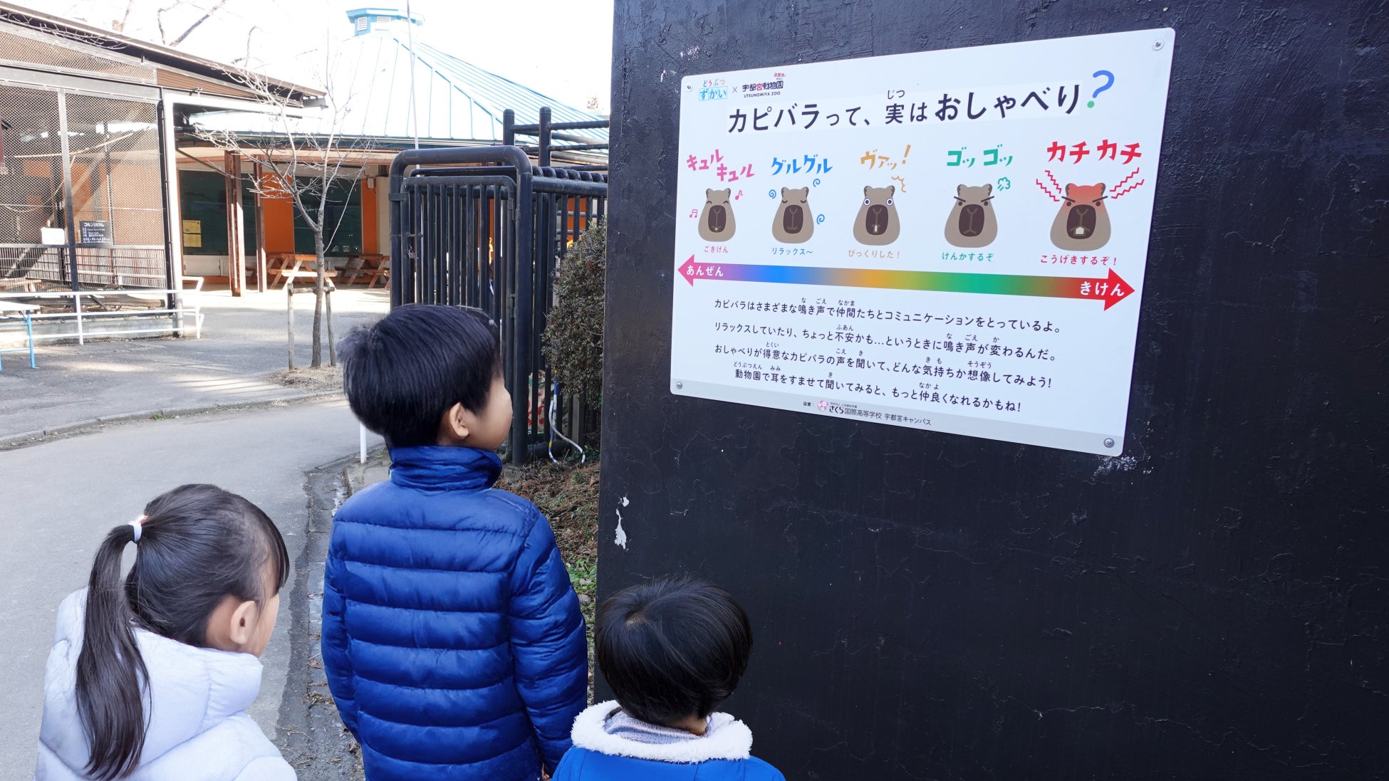 ジャイアンツタウンスタジアム初のランニングイベント「TOKYO GIANTS TOWN ランニングフェスティバル2025」を開催