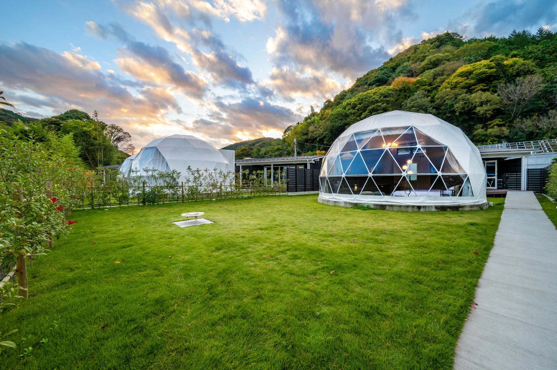 京都の世界遺産で、桜のイマーシブアートイベント『NAKED meets 二条城 2025 桜』開催決定