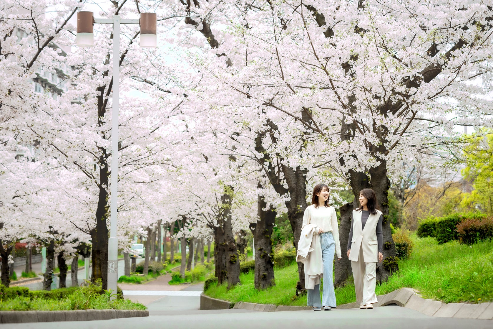 「鎮魂と希望 Ⅴ」— 音楽とともに想いを奏でる復興祈念コンサート 開催のお知らせ