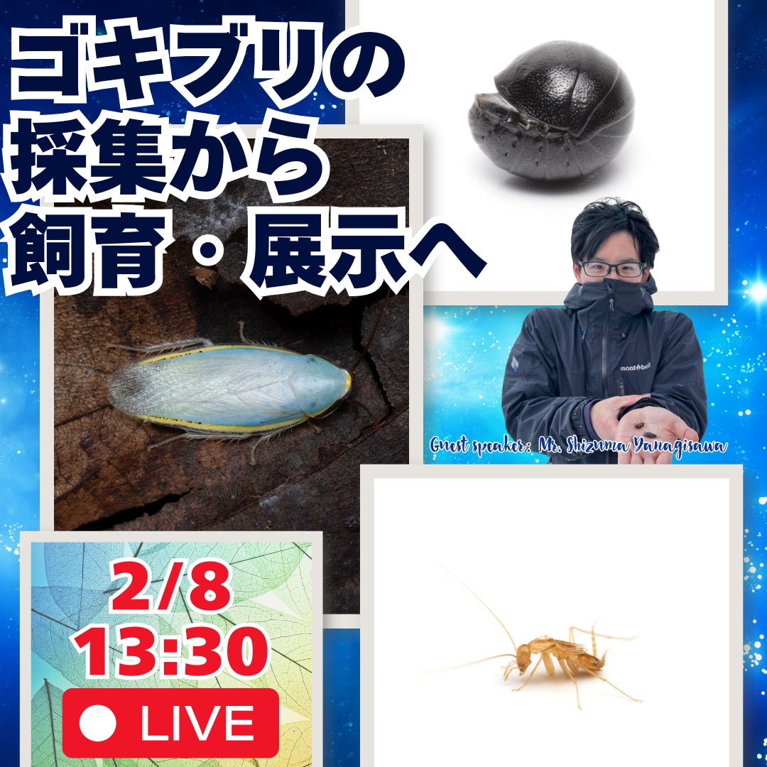 最大80％割引で宿泊できる福利厚生サービスを運営するリゾートワークスが「PIVOT」にて語る 福利厚生の最新事情