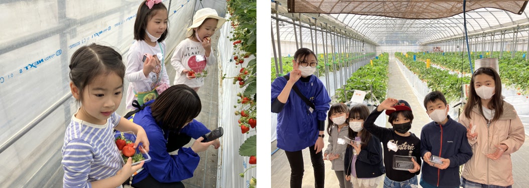 選べるディナーとスイーツを好きなだけ ブリティッシュヒルズの『冬のスイーツブッフェプラン』2月22日(土)~23日(日)ご宿泊 予約受付中!