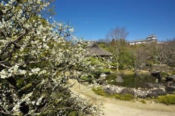 「第17回皮革フェア」を開催します