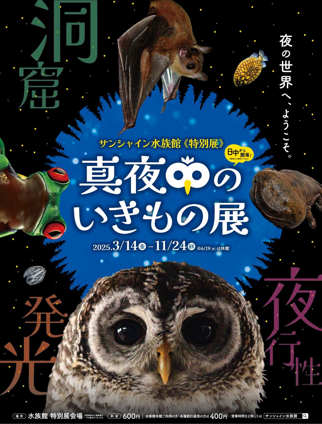 THE GROOVE STORE　1周年記念「ホテルの思い出をアートにして持ち帰る」アートマグネットをカプセルトイとして