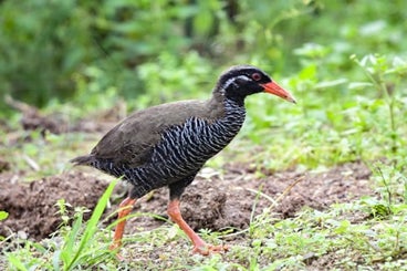 子どもたちの職業観を育む“学びの場”を提供『ドーミーイン大分』にて高校生向けに開催