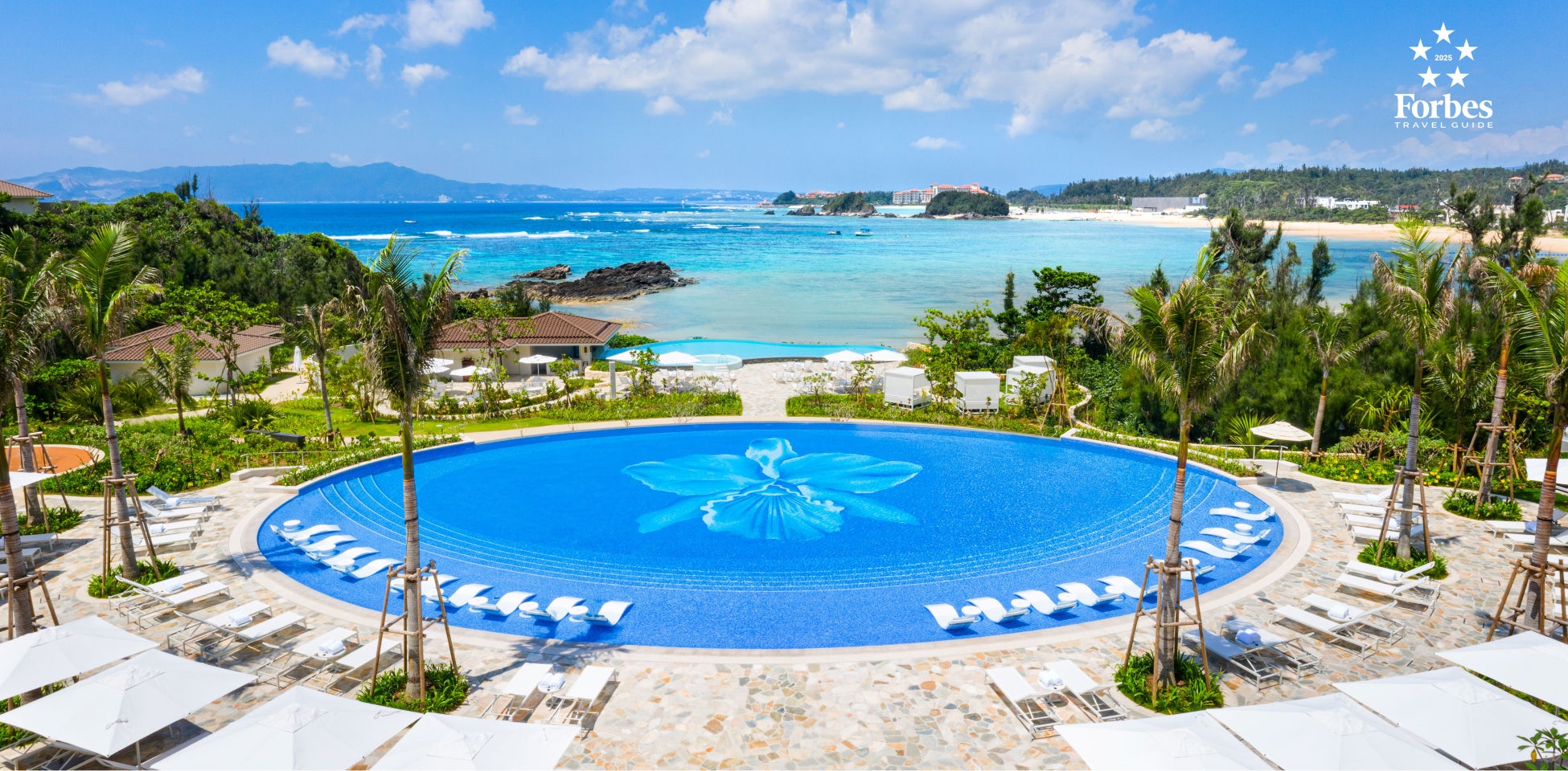 日本初！外国人向け「和菓子の焼き菓子・蒸し菓子講習」開講