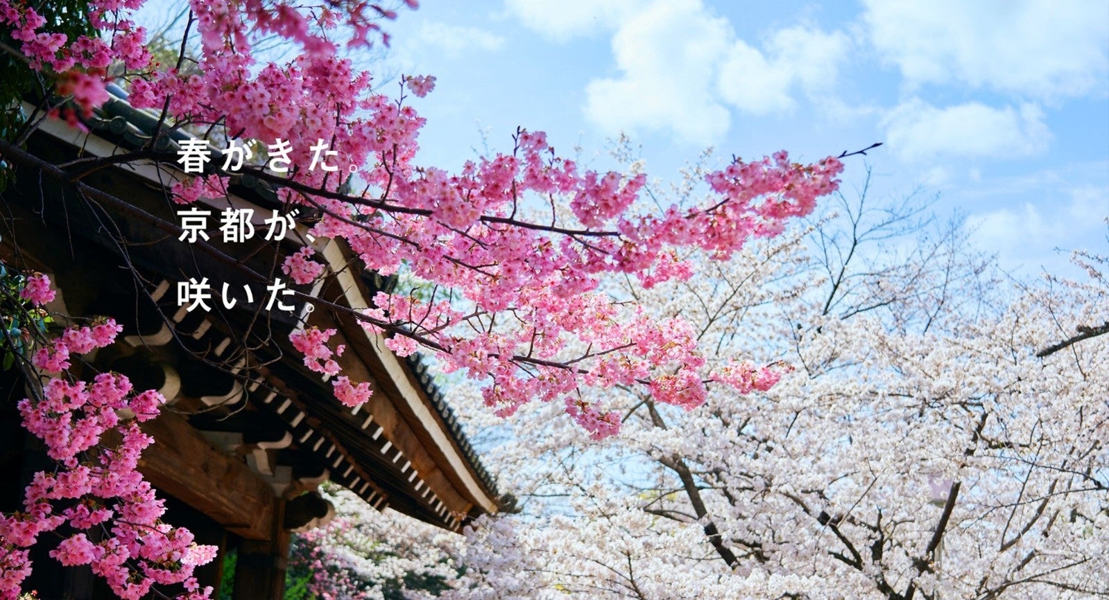 大阪国際空港 特別イベント「大阪・関西万博 特別塗装機を間近で見よう!」を開催