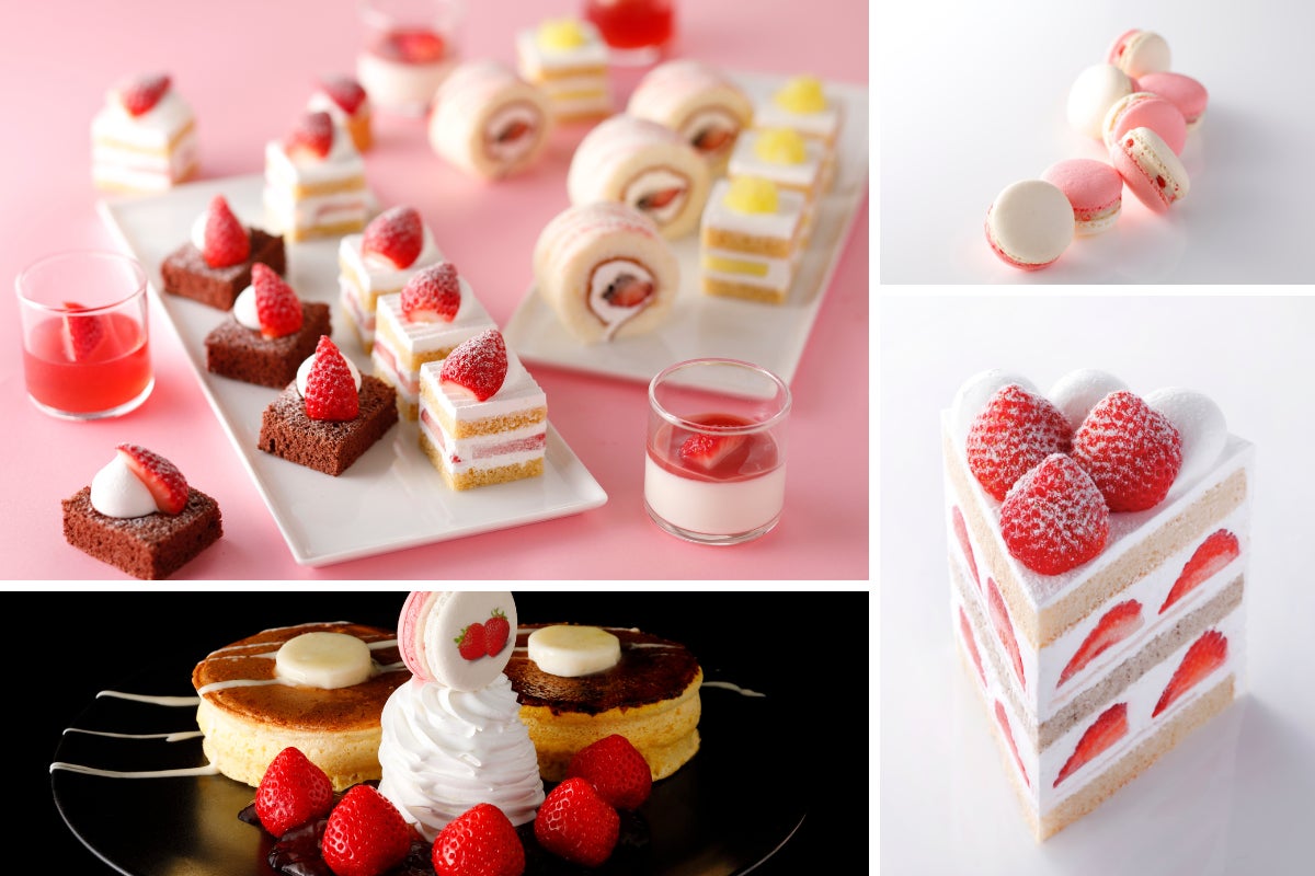 【産官学連携】横浜マリンタワー×神奈川大学×横浜市観光協会