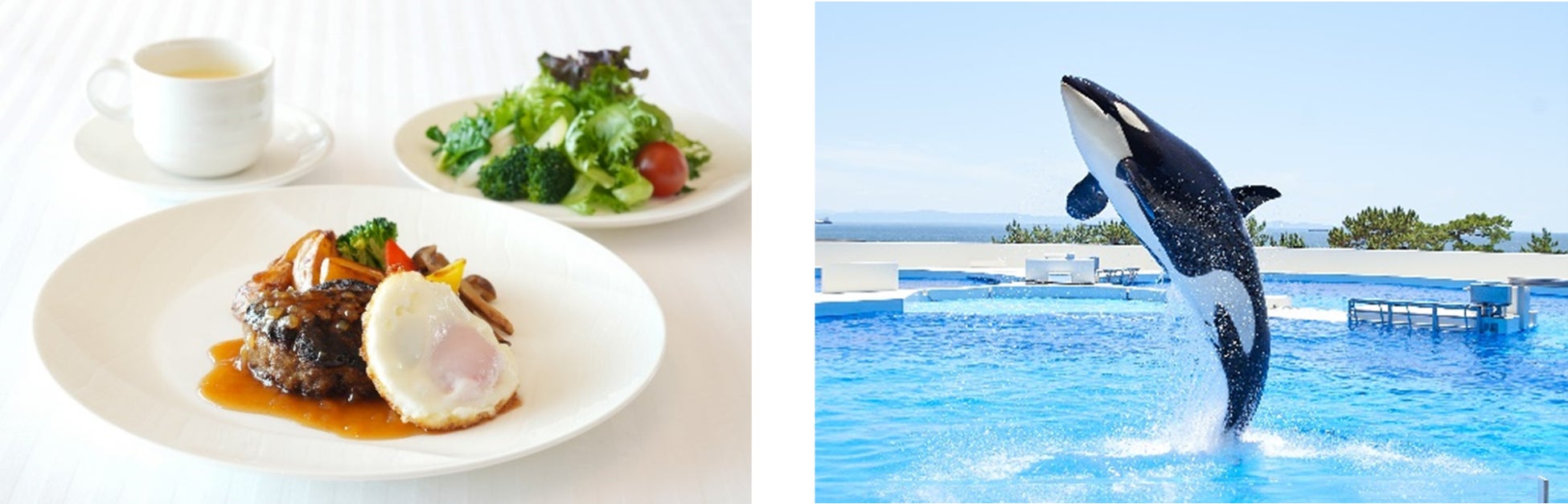 「新収蔵 ピカソ ヴォラール連作100」開催中